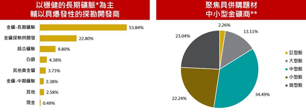 以穩健的長期礦脈為主，聚焦具併購題材中小型金礦商